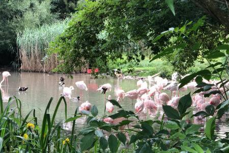 Stadtnaehe Und Doch Mitten In Der Natur Salzburg Ngoại thất bức ảnh